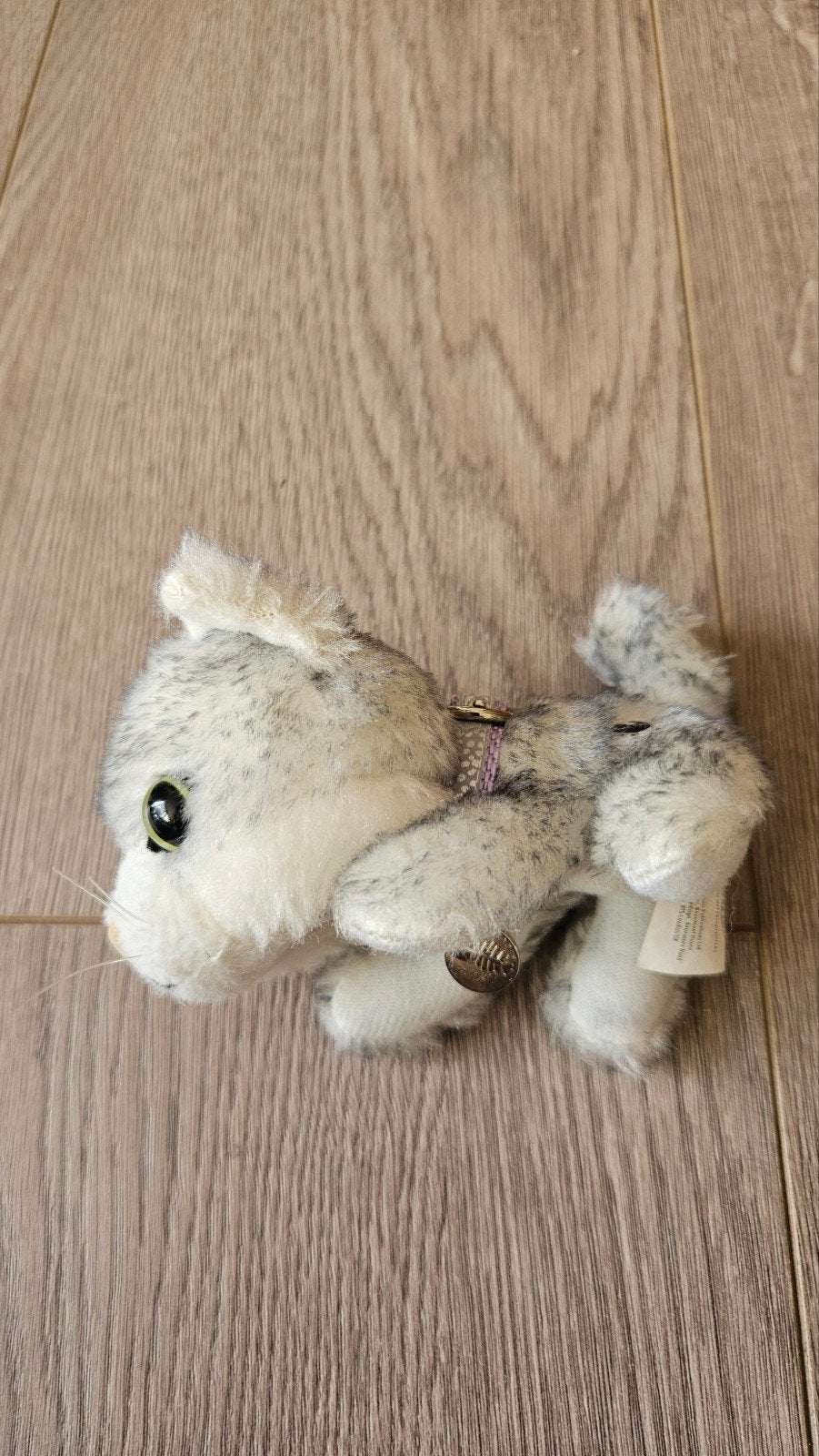 The Cat knuffel poes, Ophalen of Verzenden