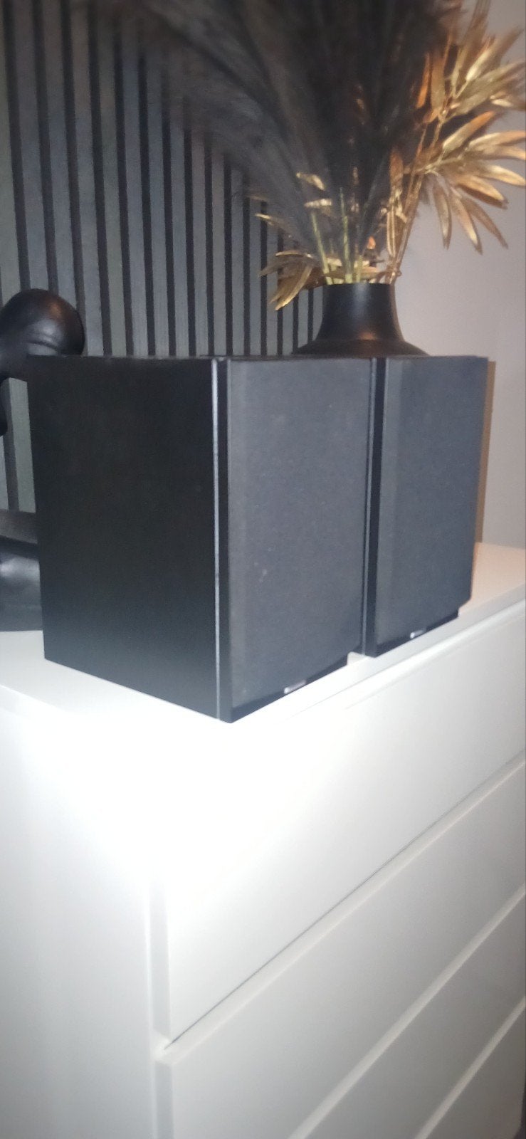 Dynaudio audience 40 .met D 260 tweeter.