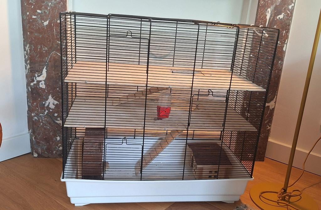 Mooi hamsterhok met toebehoren, Dieren en Toebehoren, Knaagdieren en Konijnen | Hokken en Kooien, Gebruikt, 60 tot 90 cm, Minder dan 75 cm