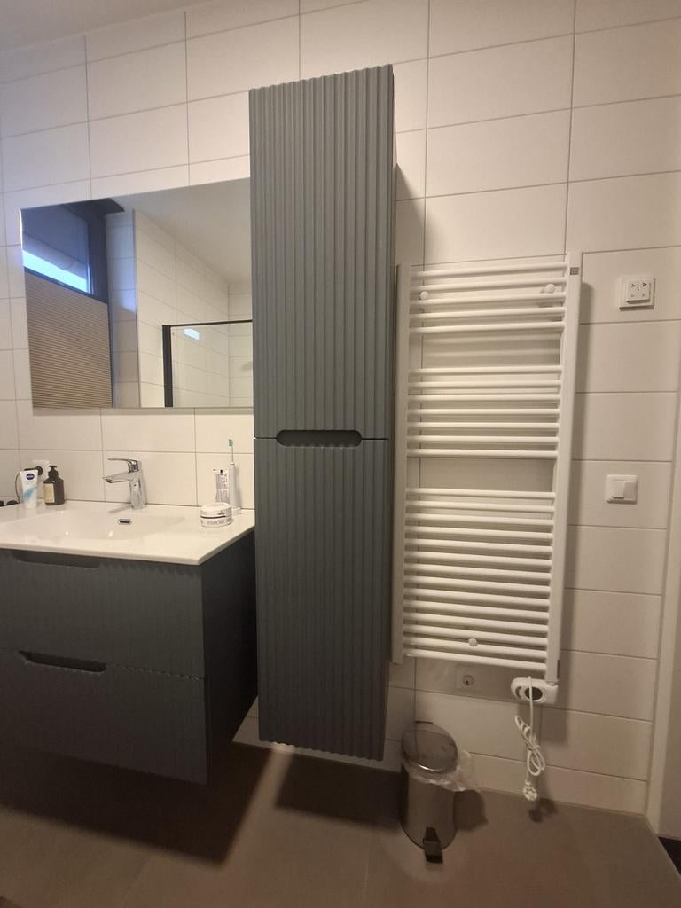 Moderne hoge badkamerkast - Grijs, Huis en Inrichting, Badkamer | Badkamermeubels, Ophalen, (Half)hoge kast, Minder dan 50 cm
