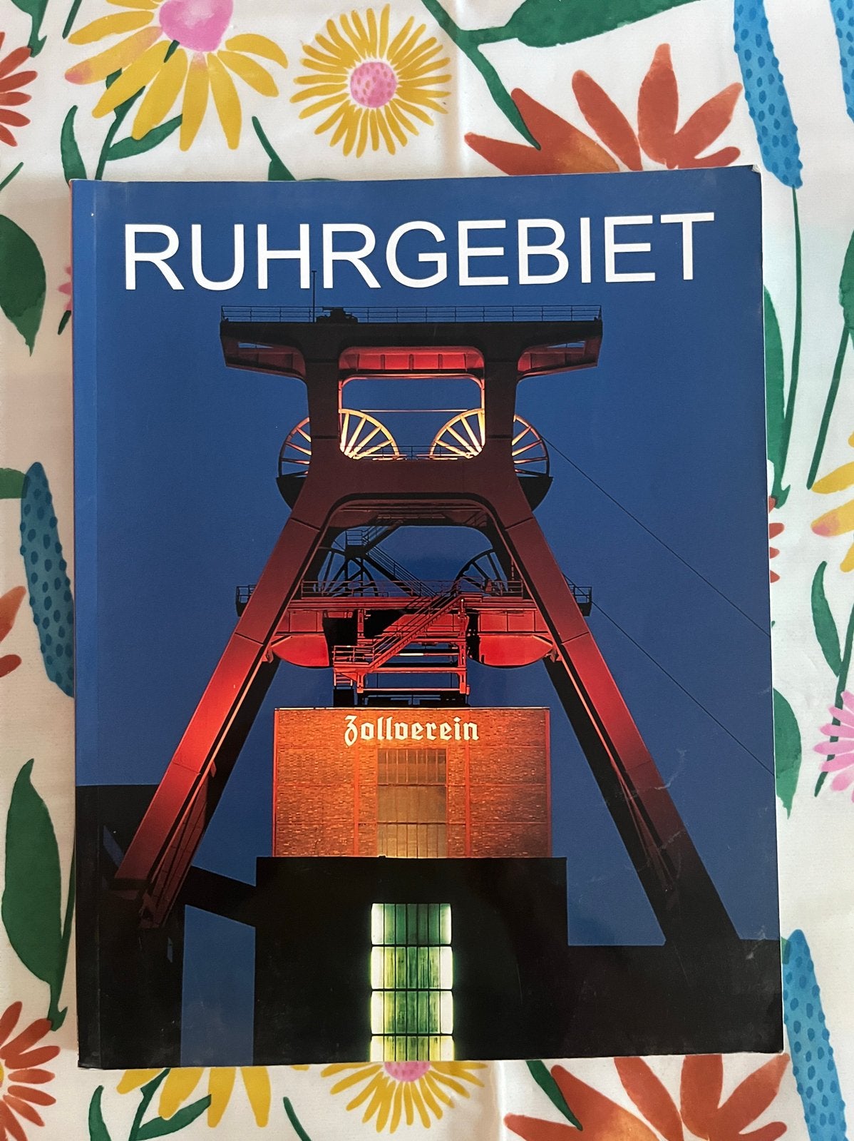 Ruhrgebied: Meer dan 100 jaar mijnbouw en zware industrie, Boeken, Ophalen of Verzenden, 20e eeuw of later, Zo goed als nieuw