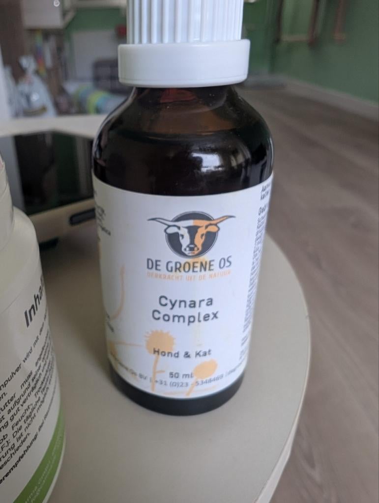 De groene os cynara complex hond kat, Ophalen of Verzenden, Kat