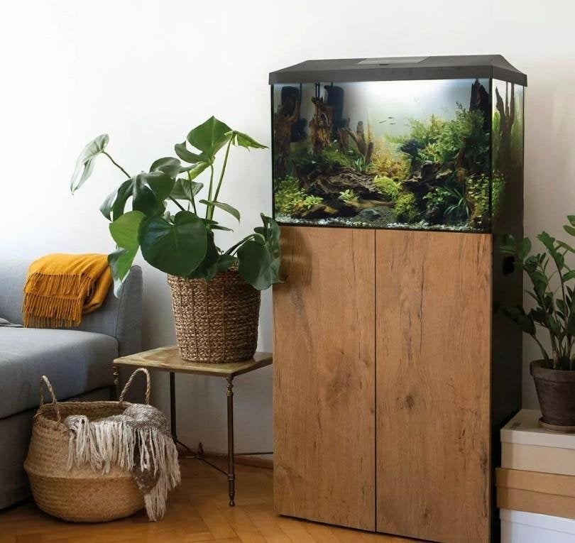 grote keus aquaria, ze staan in de winkel op voorraad, Ophalen of Verzenden, Nieuw, Leeg aquarium