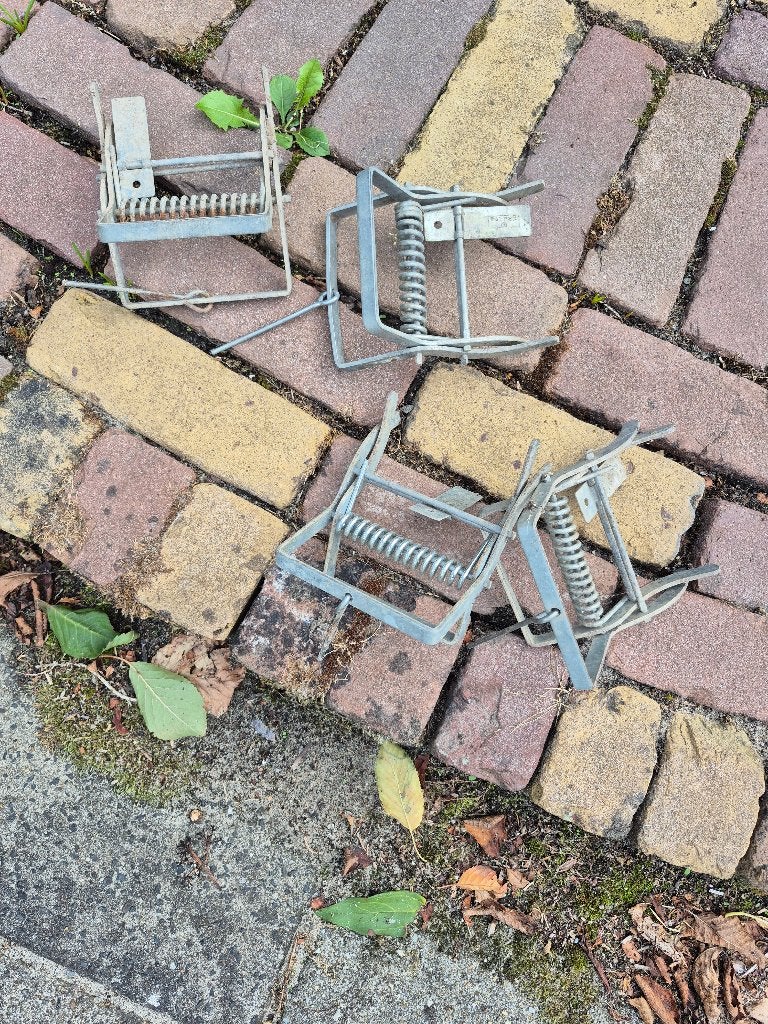 mollenklemmen, Ophalen of Verzenden, Gebruikt, Ongediertebestrijding