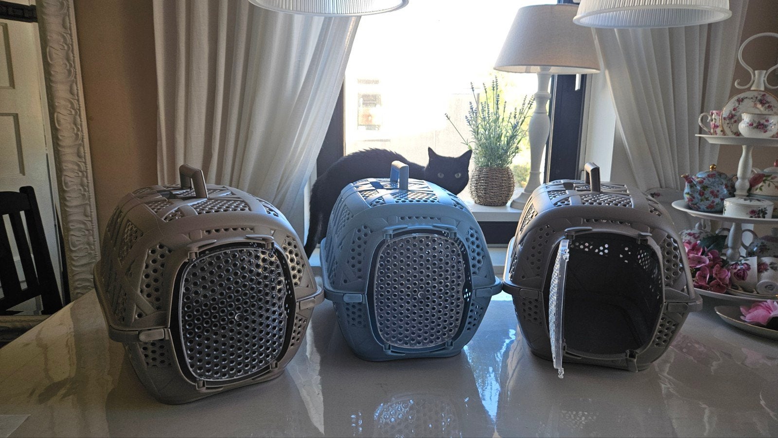kattenreismandjes, Dieren en Toebehoren, Ophalen, Nieuw