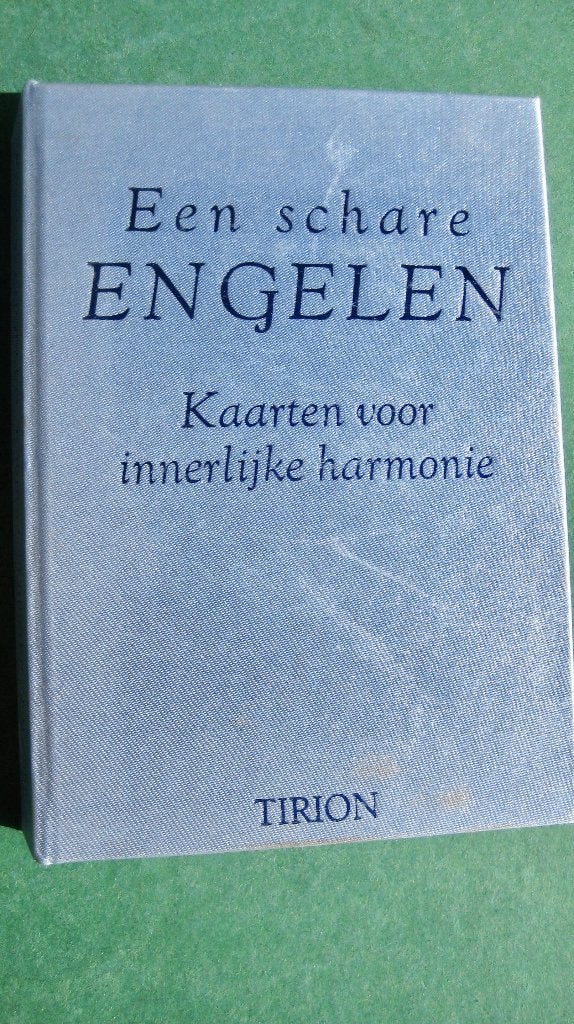 Angela Macgerr – Een schare engelen (cassette), Spiritualiteit algemeen, Overige typen, Ophalen of Verzenden, Zo goed als nieuw