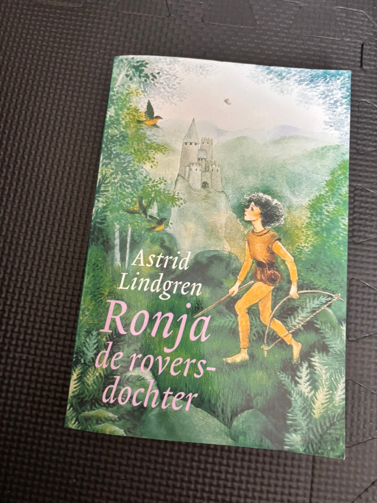 Boek Ronja de roversdochter Astrid Lindgren, Ophalen of Verzenden, Gelezen