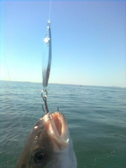 120 gram flutter pilkers, ook met haak of dreg, Watersport en Boten, Ophalen of Verzenden, Nieuw, Dobber of Lood