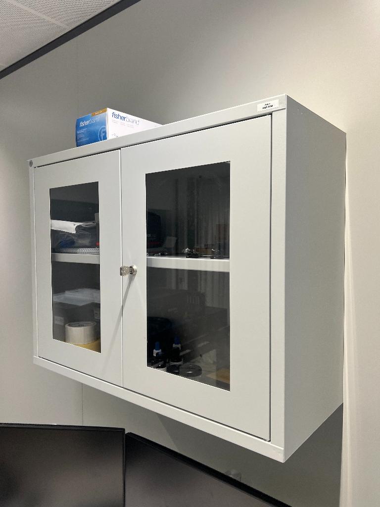 Wandkast met plank en slot, Ophalen, Doos, Nieuw, 75 tot 100 cm
