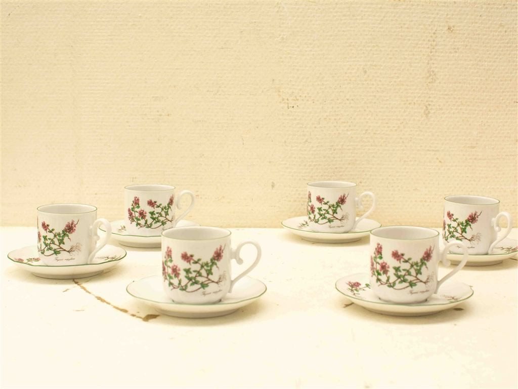 12 delig Leftmann Weiden bavaria porseleinen kop en schotelt, Gebruikt, Ophalen of Verzenden, Bord(en), Wedgwood