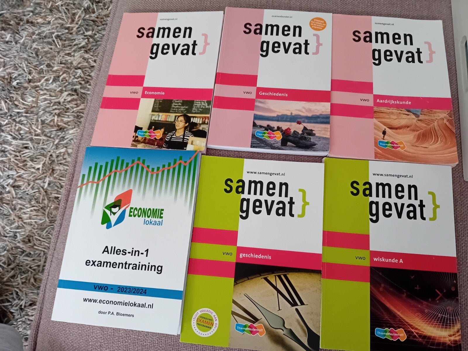 VWO - Samengevat, Ophalen of Verzenden, Zo goed als nieuw, VWO, Economie