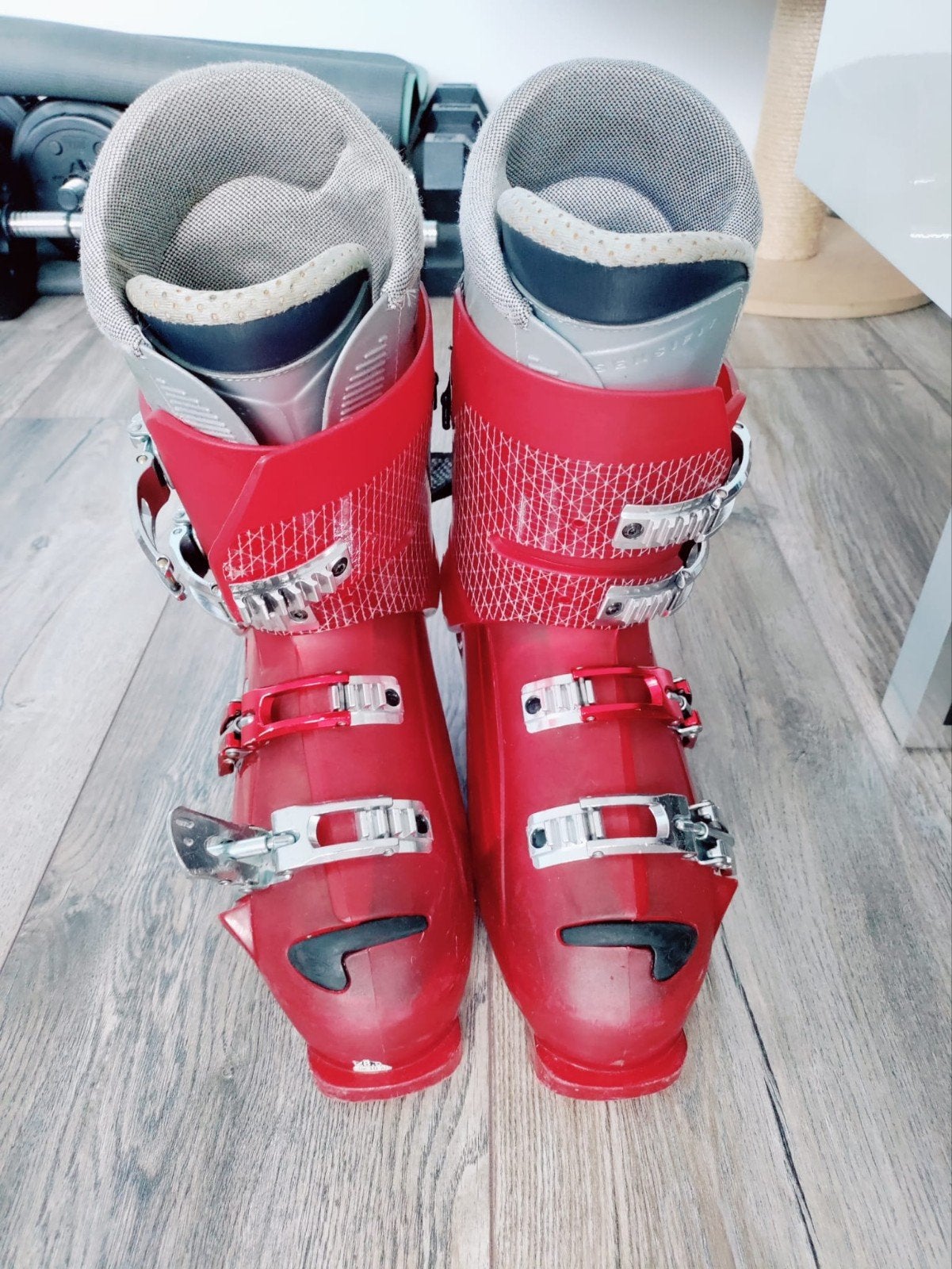 Salomon skischoenen maat 28,5 (=44), 160 tot 180 cm, Schoenen, Skiën, Ophalen
