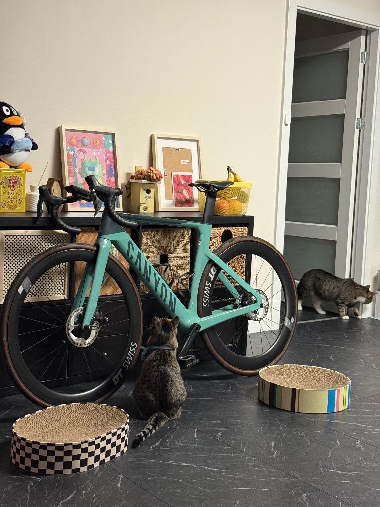 Canyon Aeroad CF SLX 8 Di2 – Size S – Pale Green, Fietsen en Brommers, Gebruikt, Carbon, Heren, Meer dan 20 versnellingen