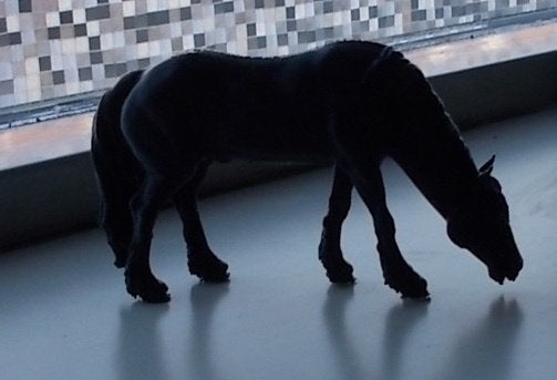 Grazende Fries 52 – manen rechts, Ophalen of Verzenden, Nieuw