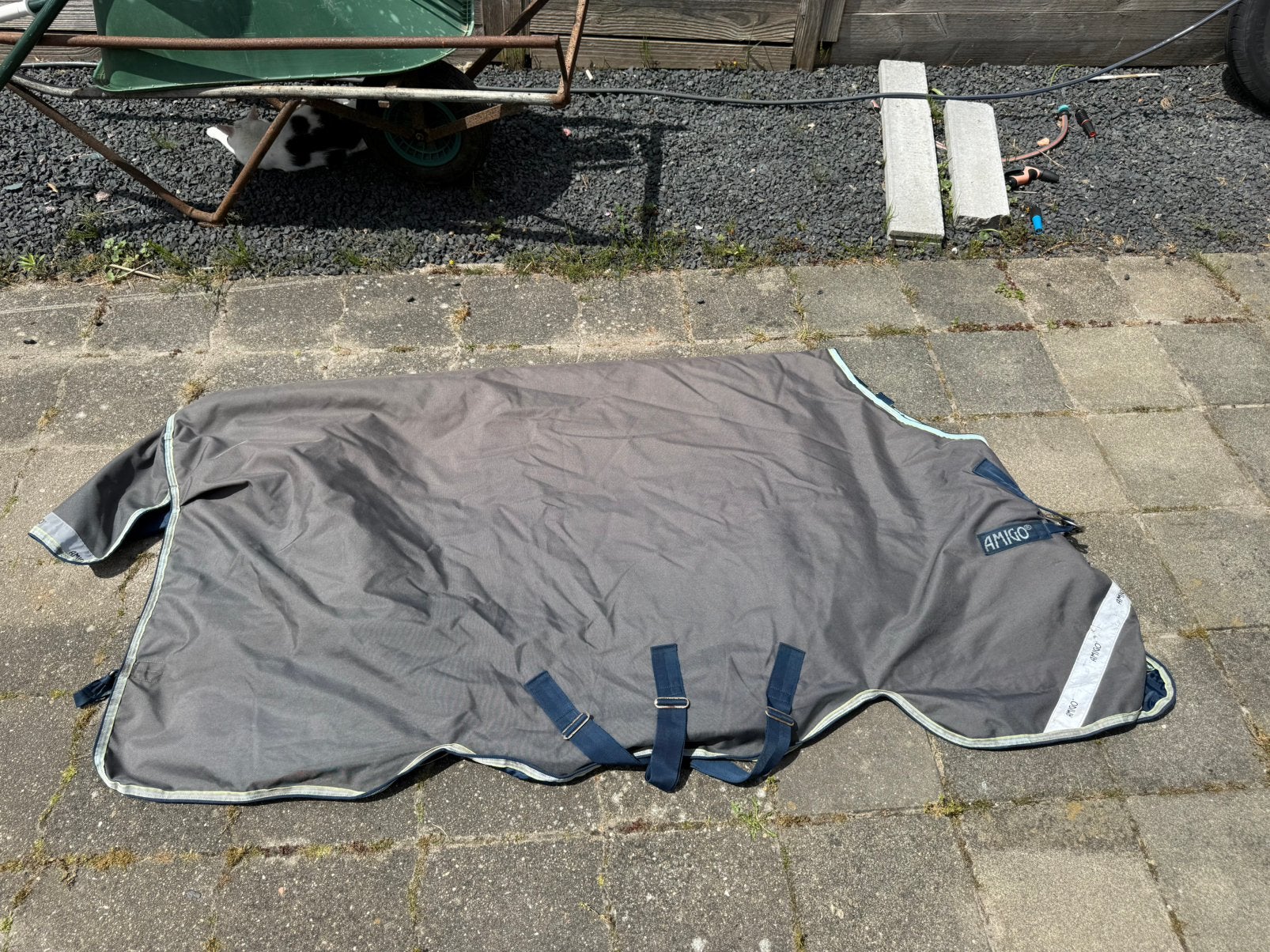 Amigo bravo 12 heavy, Dieren en Toebehoren, Ophalen