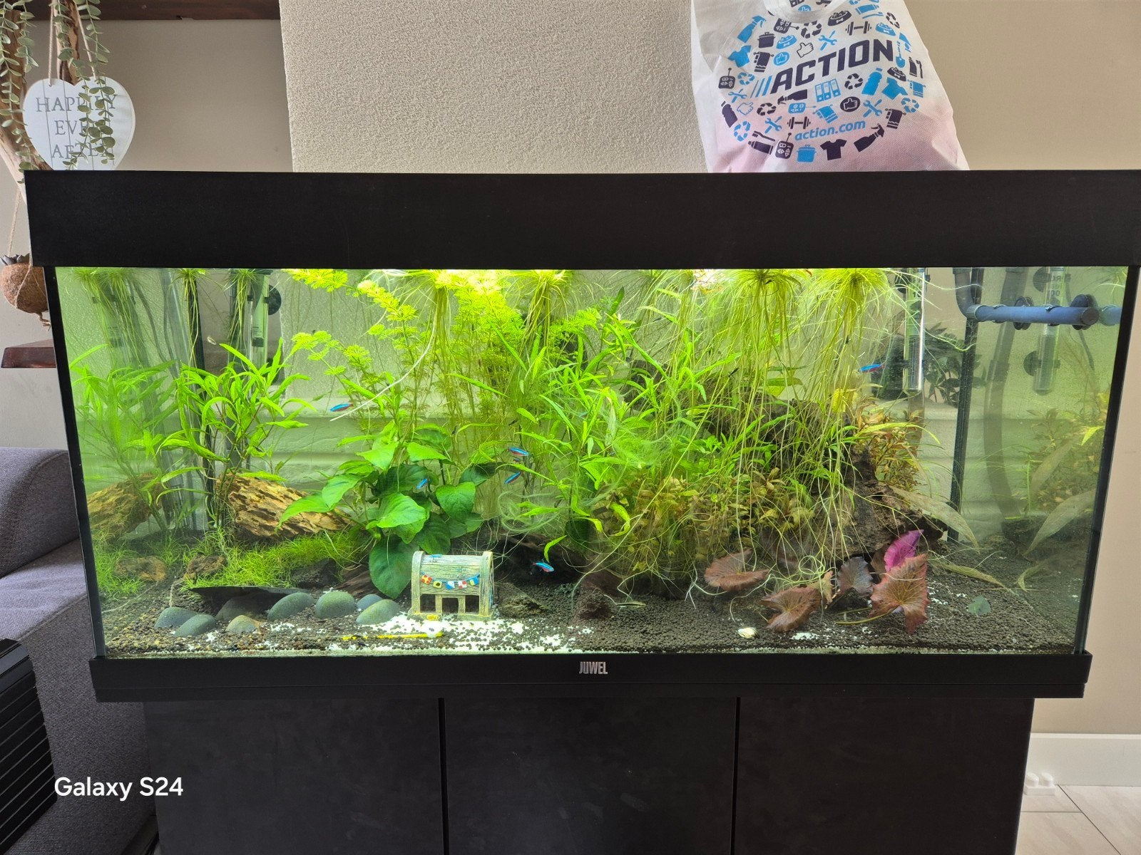 Aquarium Juwel 180 Liter, inhoud los of als set te koop, Dieren en Toebehoren, Vissen | Aquaria en Toebehoren, Ophalen, Gebruikt