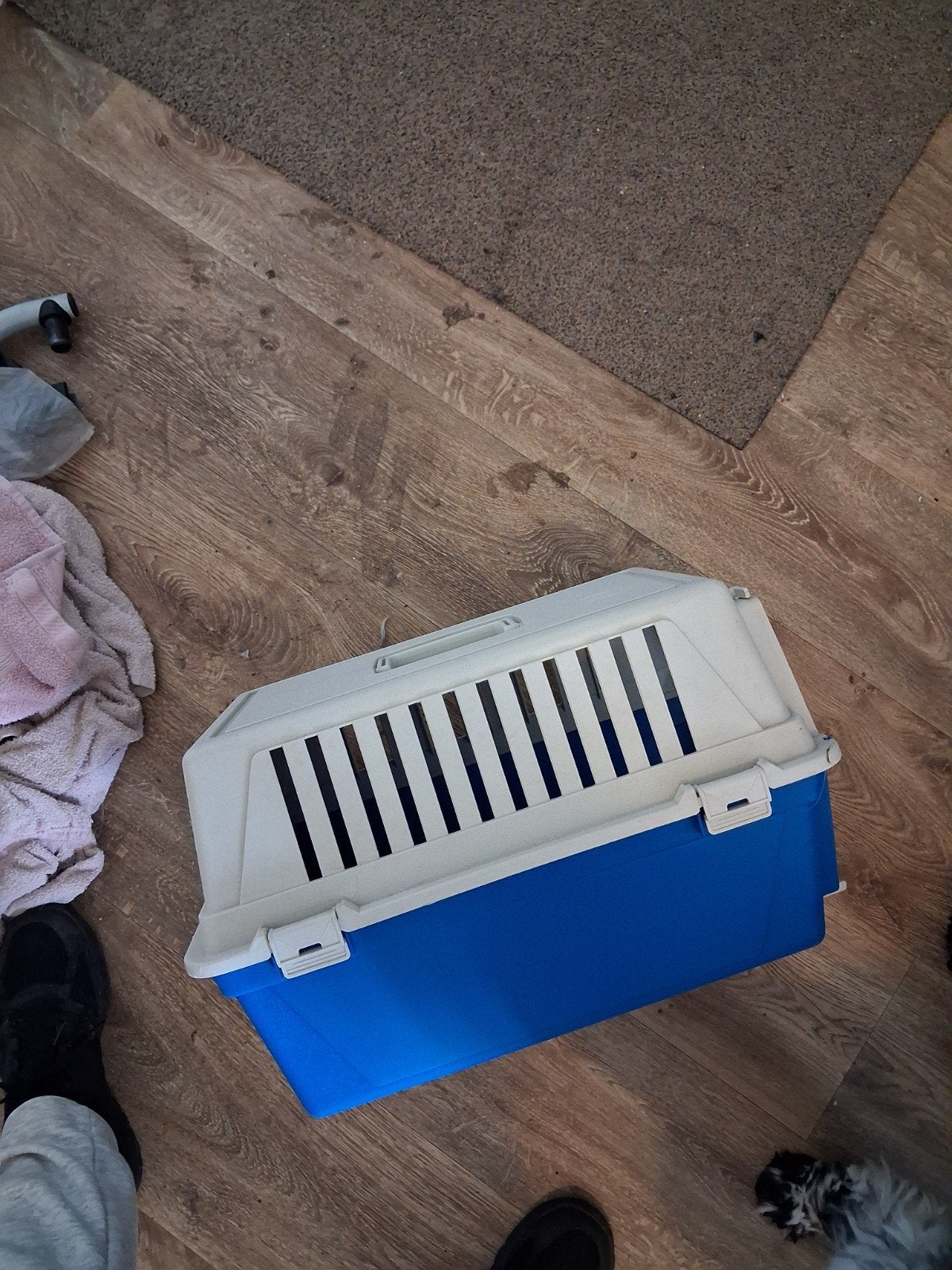 poezen mand, Dieren en Toebehoren, Ophalen of Verzenden, Zo goed als nieuw