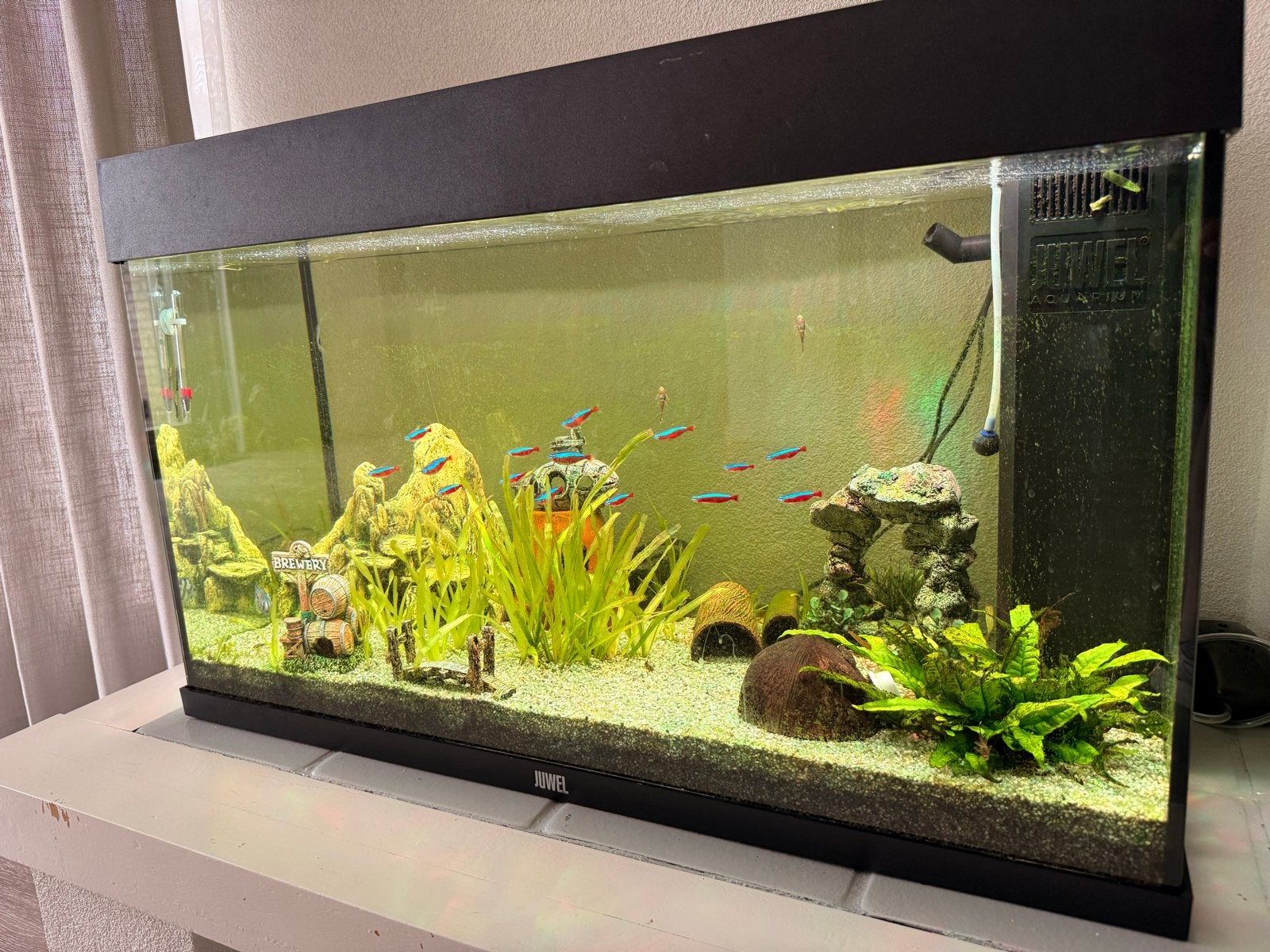 Juwel Rio 125 Aquarium HeliaLux Spectrum + SmartControl, Ophalen, Inclusief vissen, Zo goed als nieuw, Gevuld zoetwateraquarium