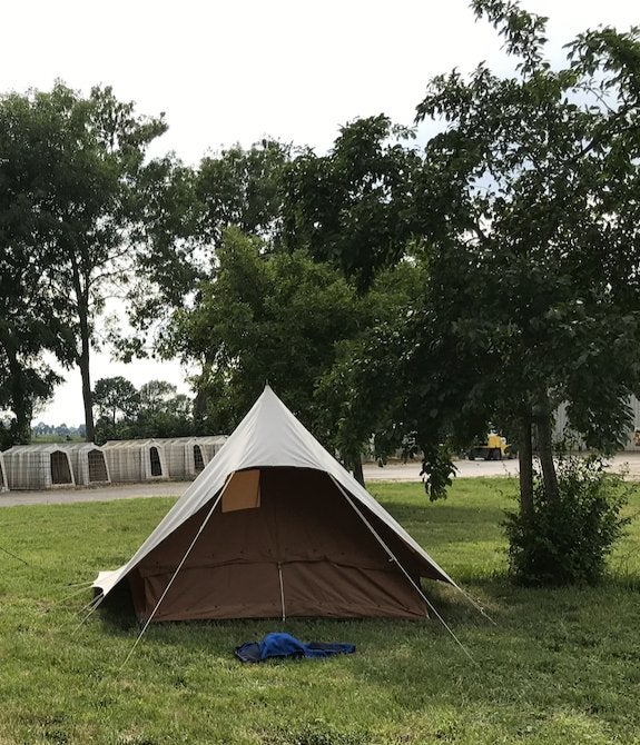 De Waard Stern 1-stok, Ophalen of Verzenden, Gebruikt, Tot en met 3