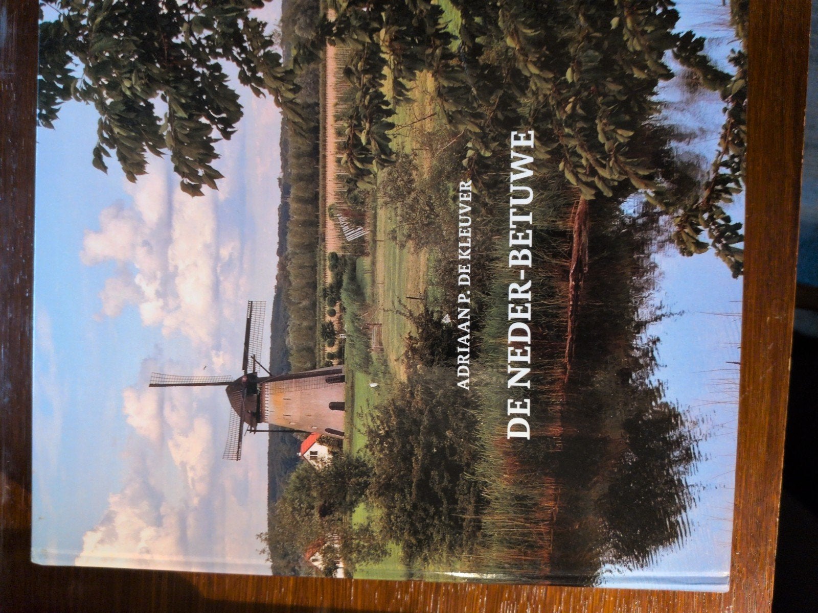 De Neder-Betuwe - Adriaan P. de Kleuver, Ophalen of Verzenden, Zo goed als nieuw