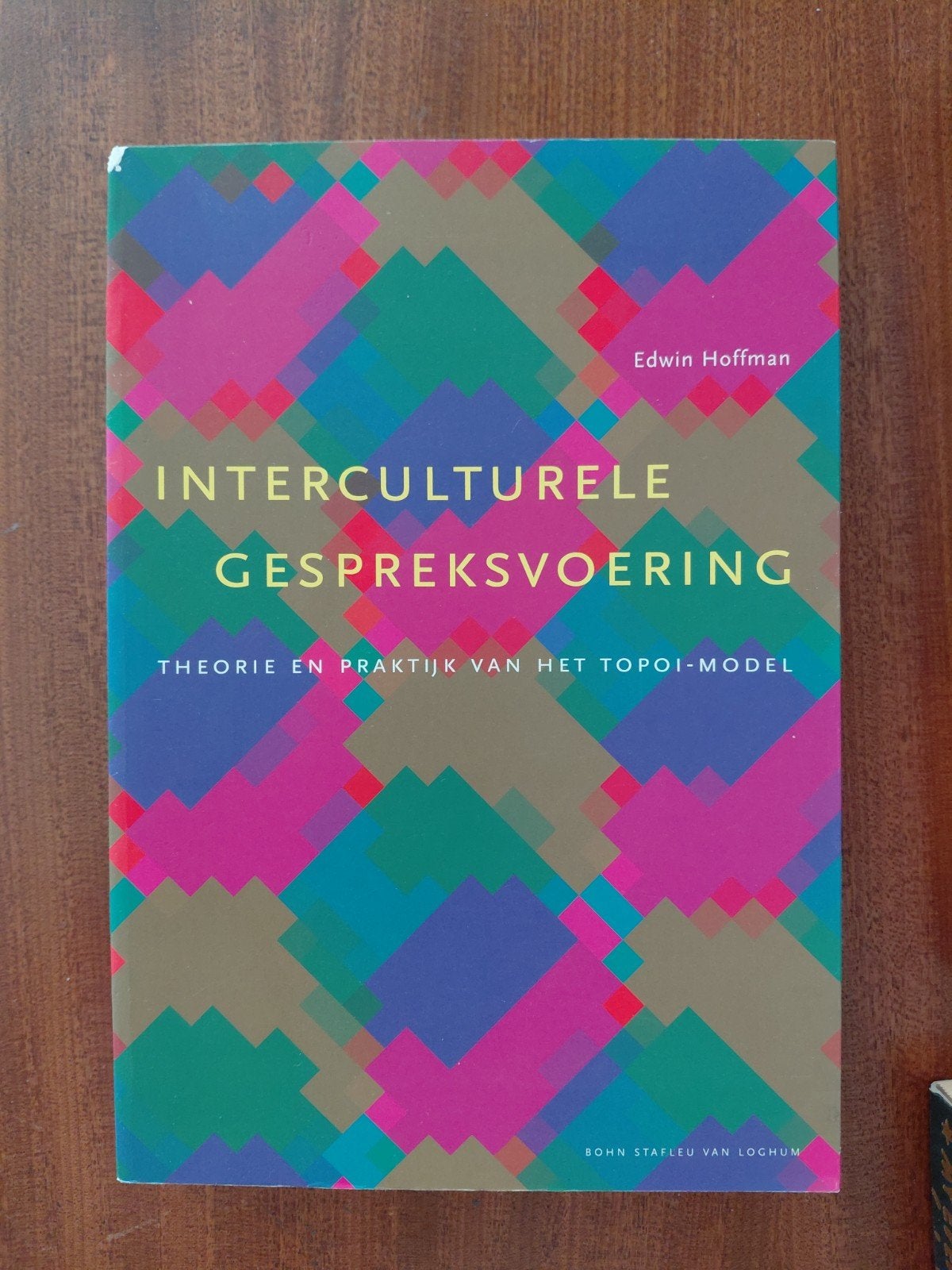 Interculturele Gespreksvoering - Edwin Hoffman, Boeken, Ophalen of Verzenden, Zo goed als nieuw, Edwin Hoffman, Nederland