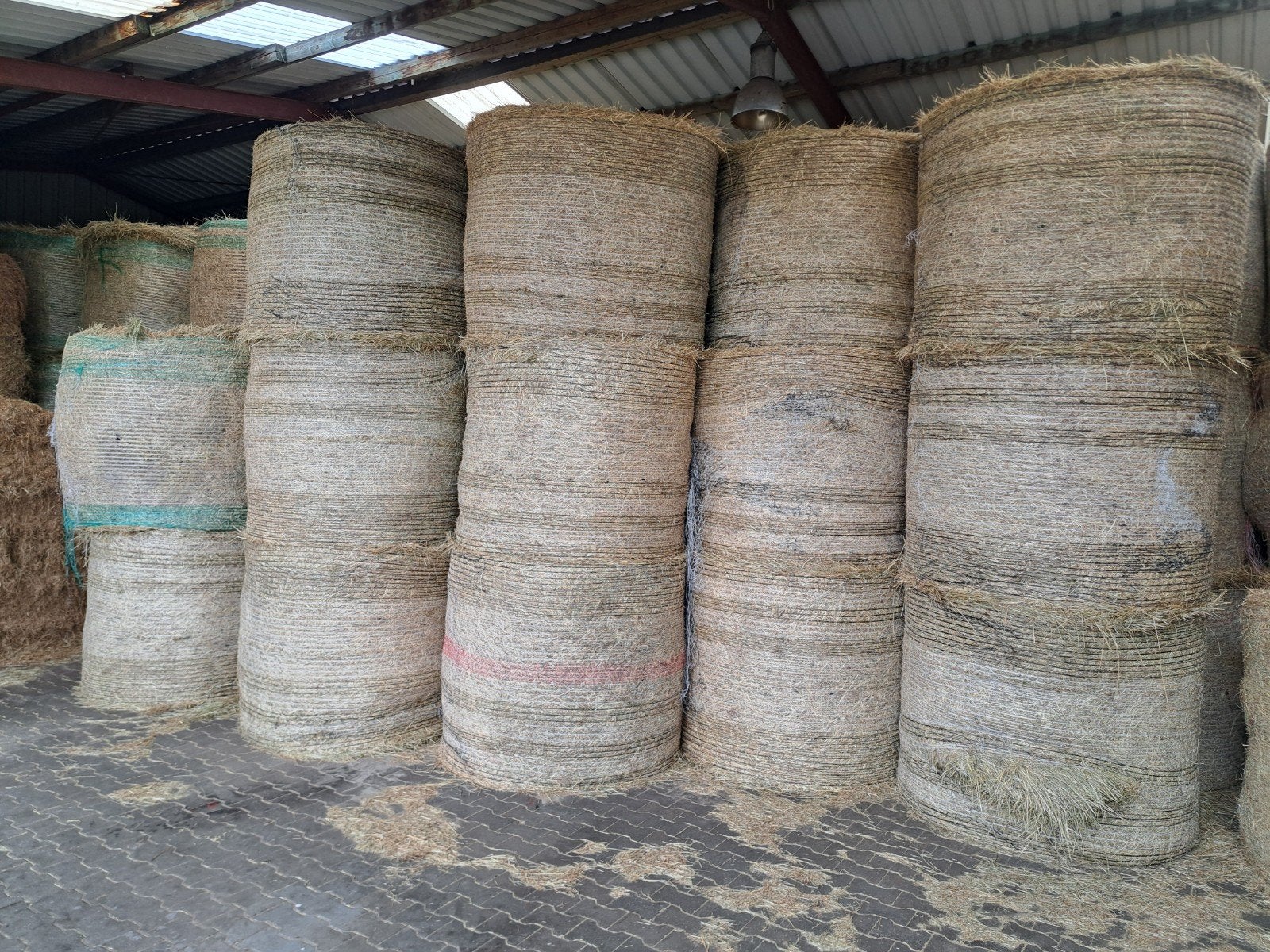 Ronde balen hooi te koop, Dieren en Toebehoren, Ophalen of Verzenden, Vee