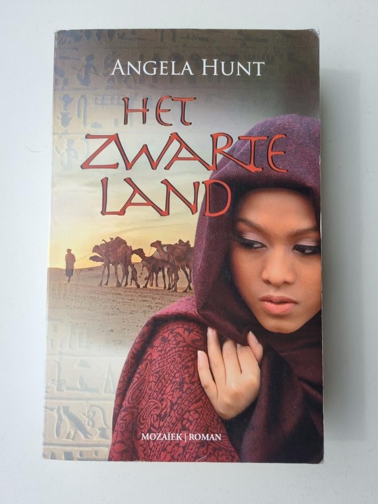 Het Zwarte Land - Angela Hunt, Boeken, Ophalen of Verzenden, Gelezen, Angela Hunt