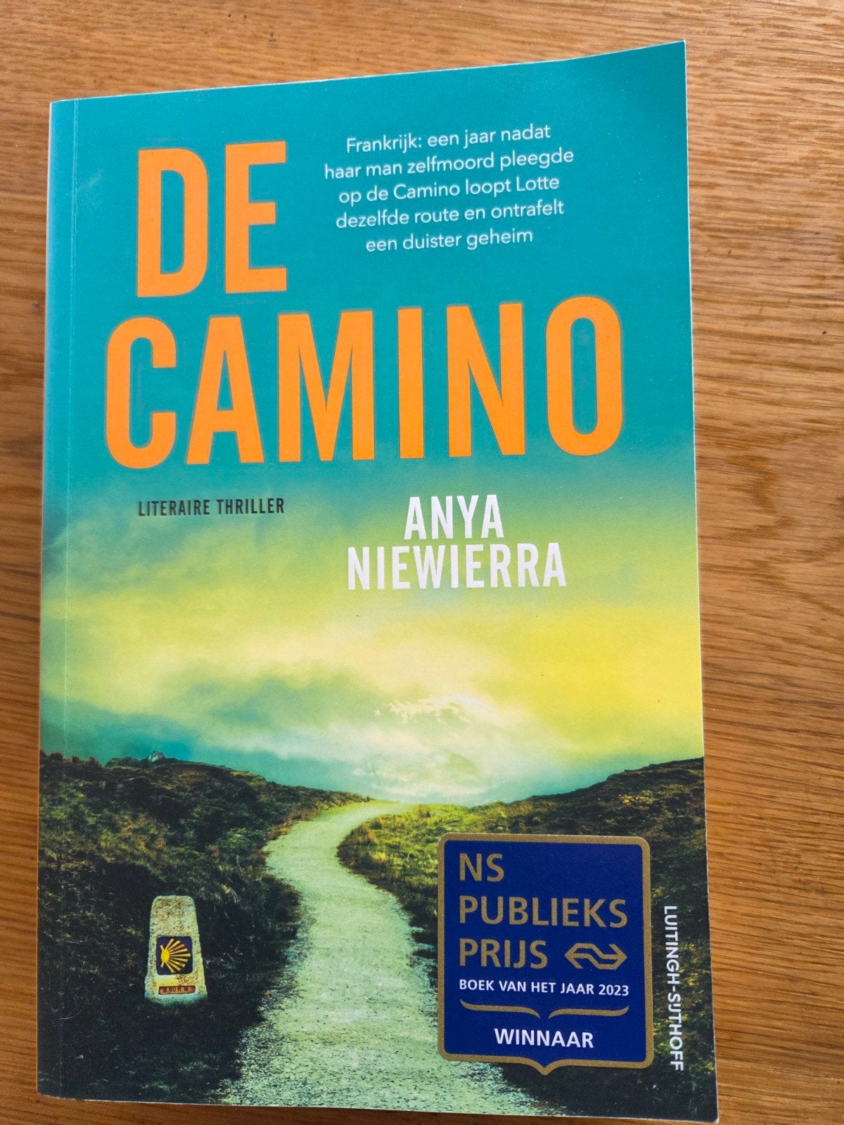 De Camino - Anya Niewierra (NS Publieksprijs Winnaar), Boeken, Ophalen of Verzenden, Zo goed als nieuw, Anya Niewierra, Nederland