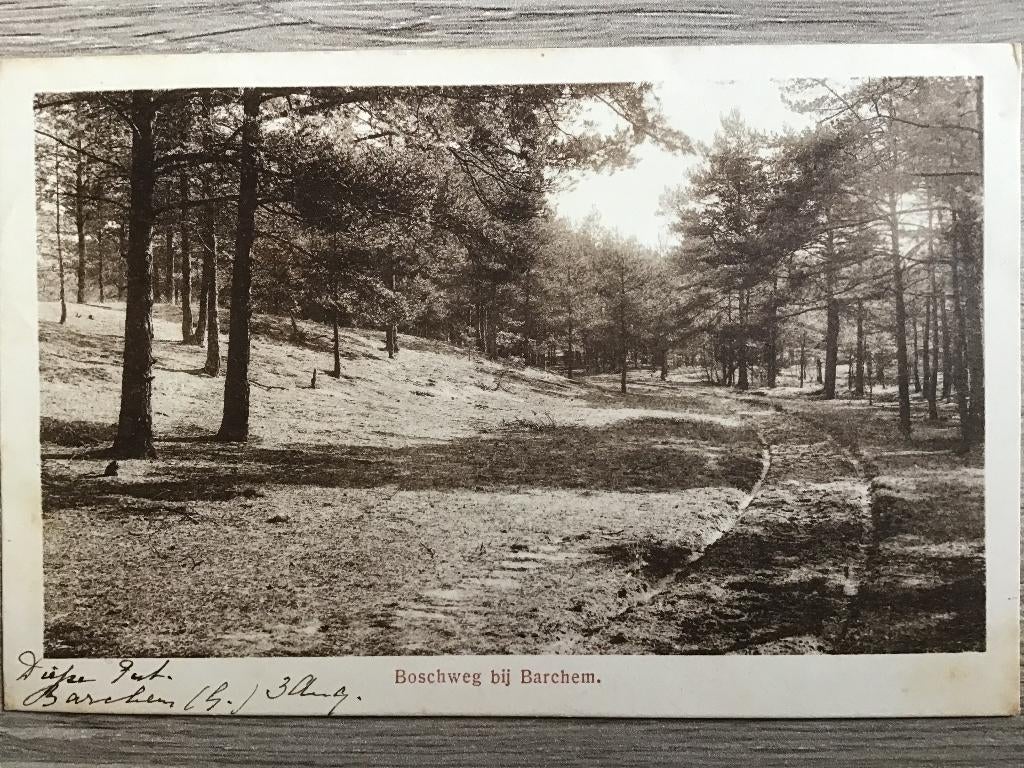 Barchem Boschweg 1919, Verzamelen, Ansichtkaarten | Nederland, Verzenden, Voor 1920, Gelopen, Gelderland