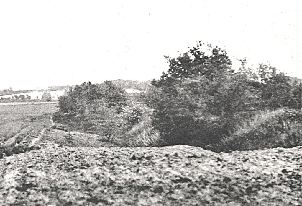 948329 Lunteren Gld 1938 Bloeiende Hagedoorn Goudsberg, Ophalen of Verzenden, 1920 tot 1940, Gelopen, Gelderland