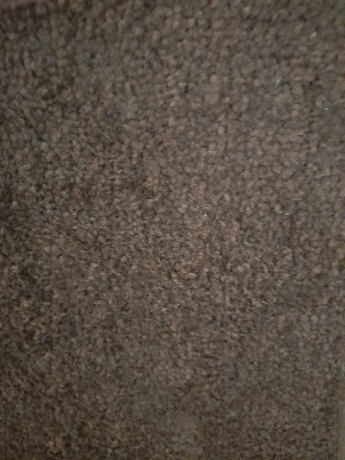 Bruin groote  vloerkleed taupe 2x3, Ophalen, Bruin, 150 tot 200 cm, 200 cm of meer