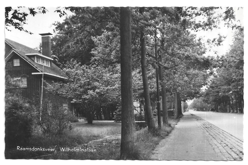 AK Raamsdonksveer - Wilhelminalaan, Verzamelen, Ansichtkaarten | Nederland, Verzenden, 1960 tot 1980, Gelopen, Noord-Brabant