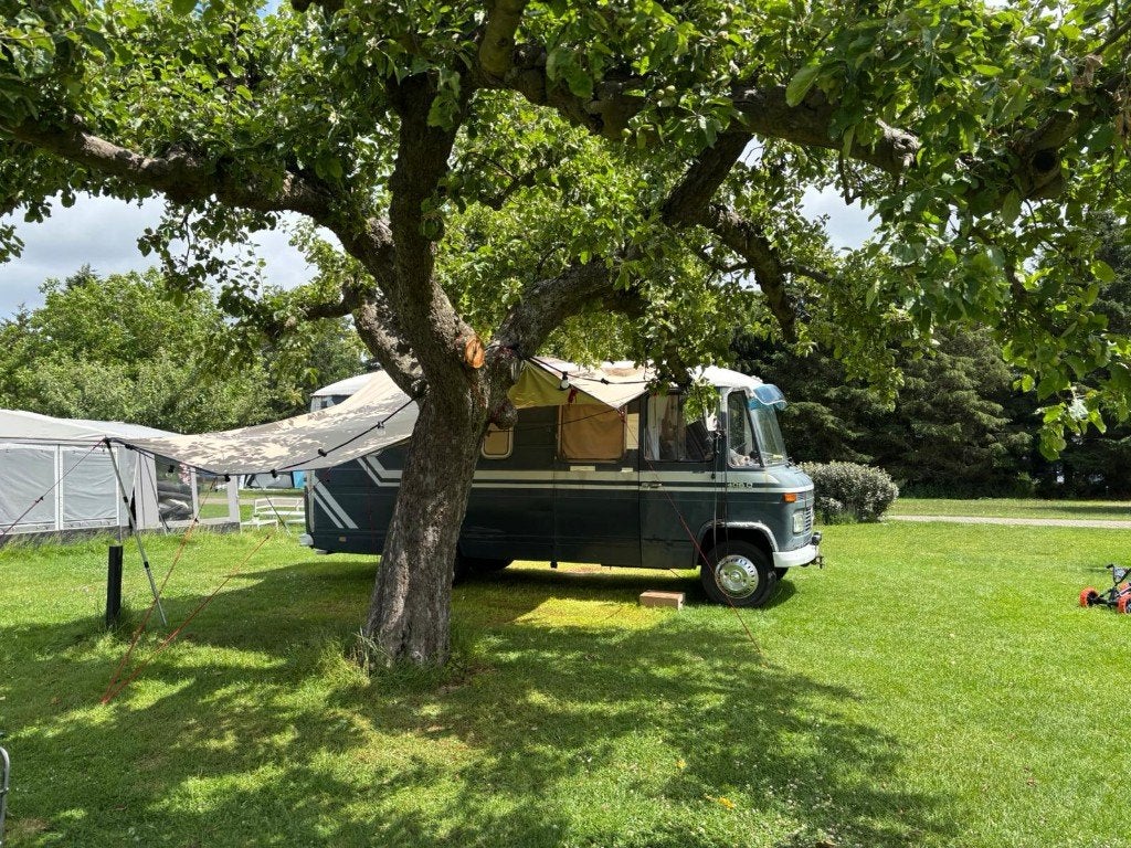 Unieke Mercedes-Benz 1974 Camperbus, Koelkast, Rookmelder, Mercedes-Benz, Particulier