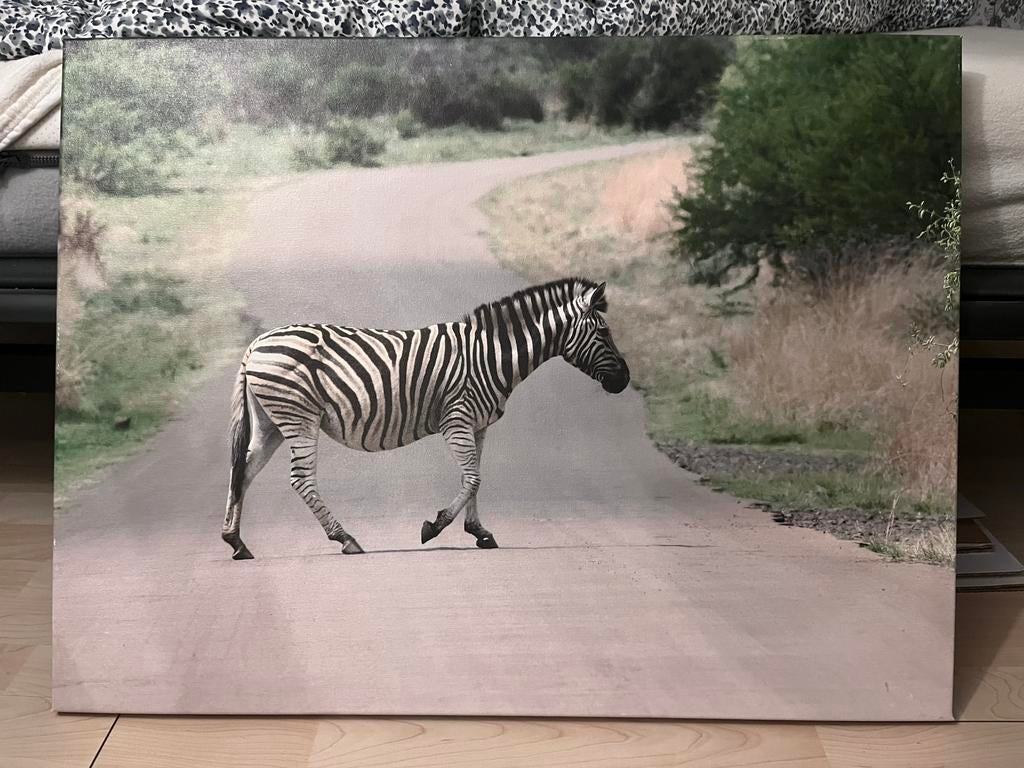 Canvas zebra gemaakt in afrika, Antiek en Kunst, Kunst | Schilderijen | Klassiek, Ophalen