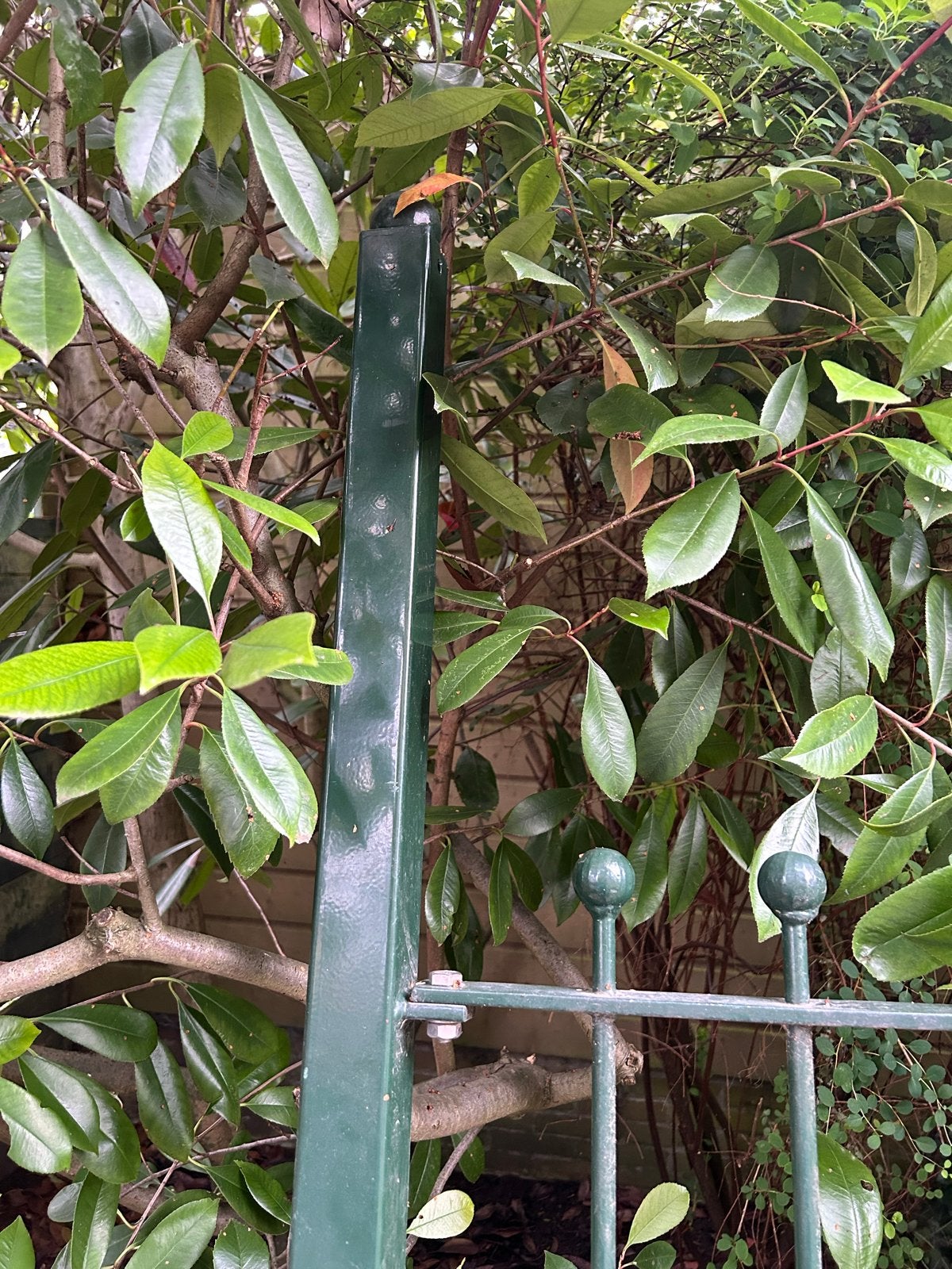 Mooi groen ijzeren hekwerk - 1 groot deel, 3 kleine delen, Ophalen, Gebruikt, IJzer, Tuinhek