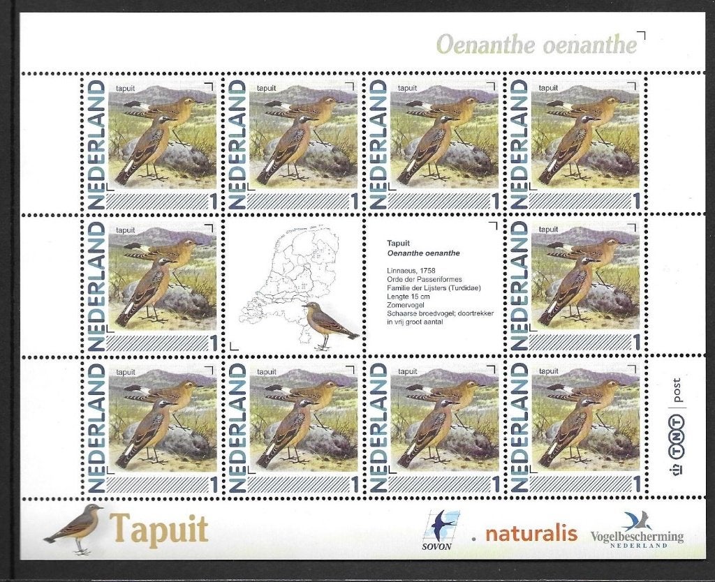 Vel persoonlijke zegels, vogels Tapuit, postfris, Ophalen of Verzenden, Postfris