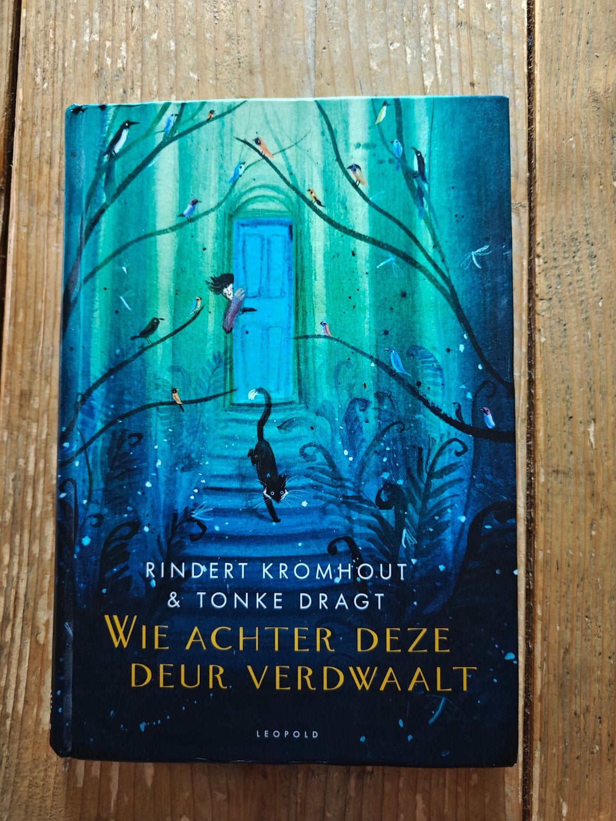 Wie achter deze deur verdwaalt. verkocht., Ophalen of Verzenden