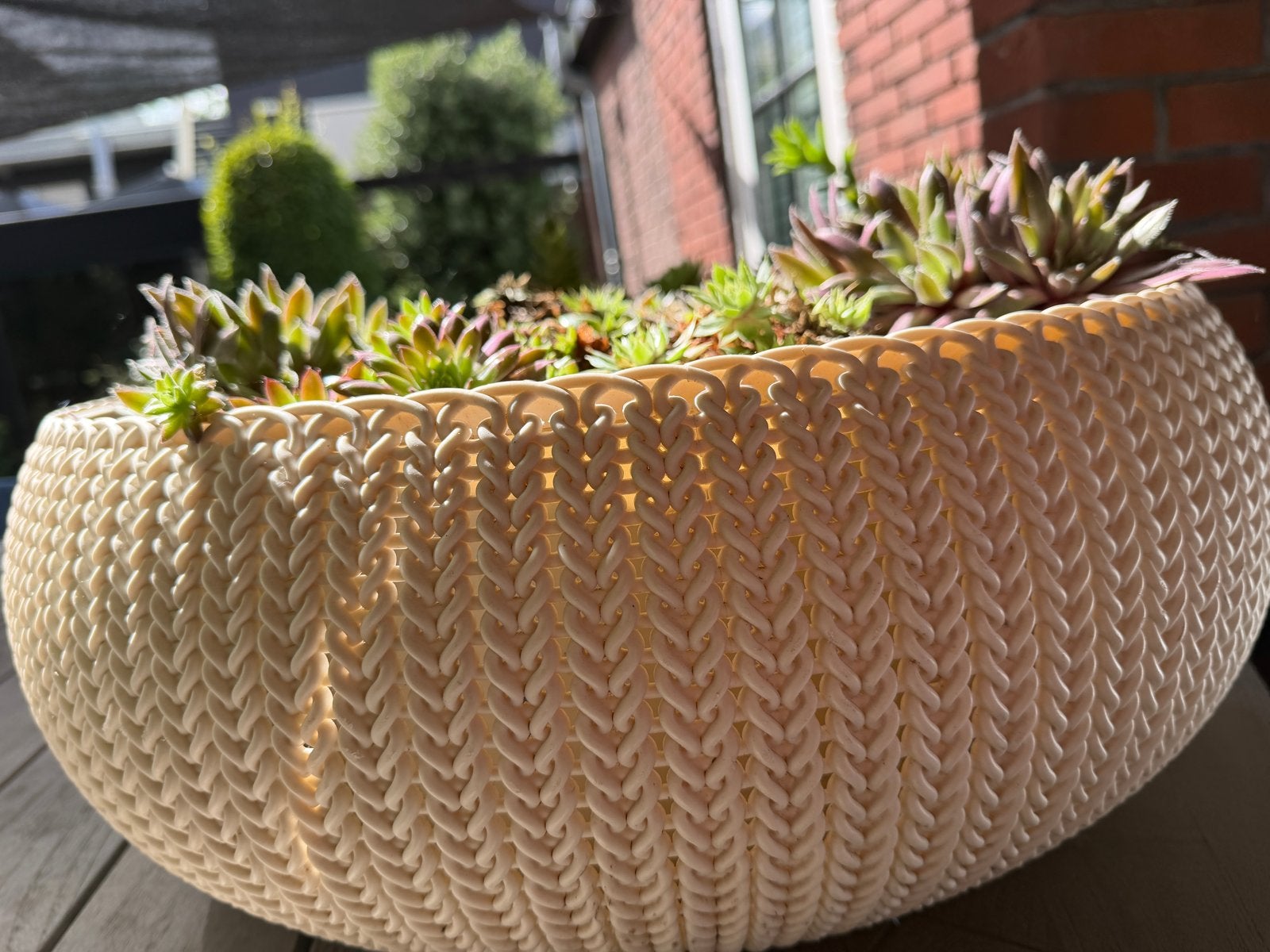 Elho Wicker Witten Plantenschaal / Minivijver - 44 cm, Tuin en Terras, Bloembakken en Plantenbakken, Kunststof, Gebruikt, Minder dan 30 cm