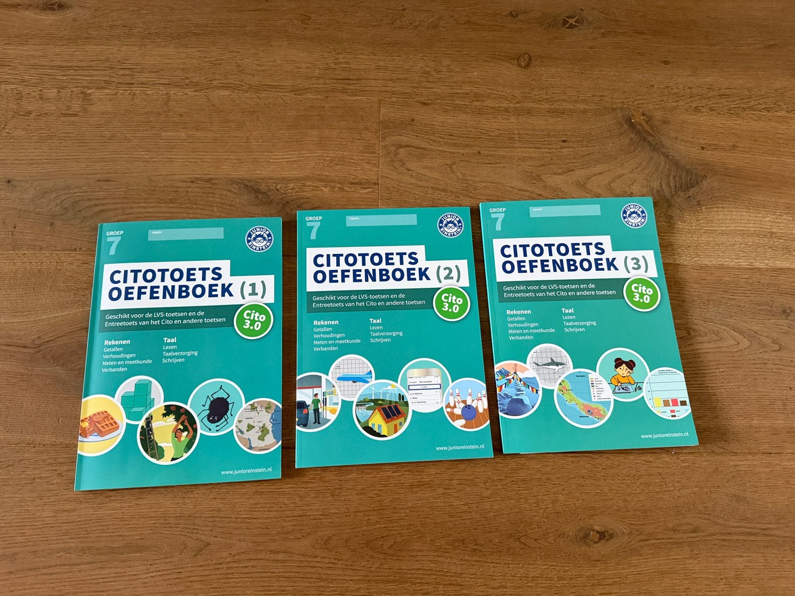 Citotoets oefenboek groep 7 Junior Einstein 3 stuks, Ophalen of Verzenden, Zo goed als nieuw, Overige niveaus, Nederlands