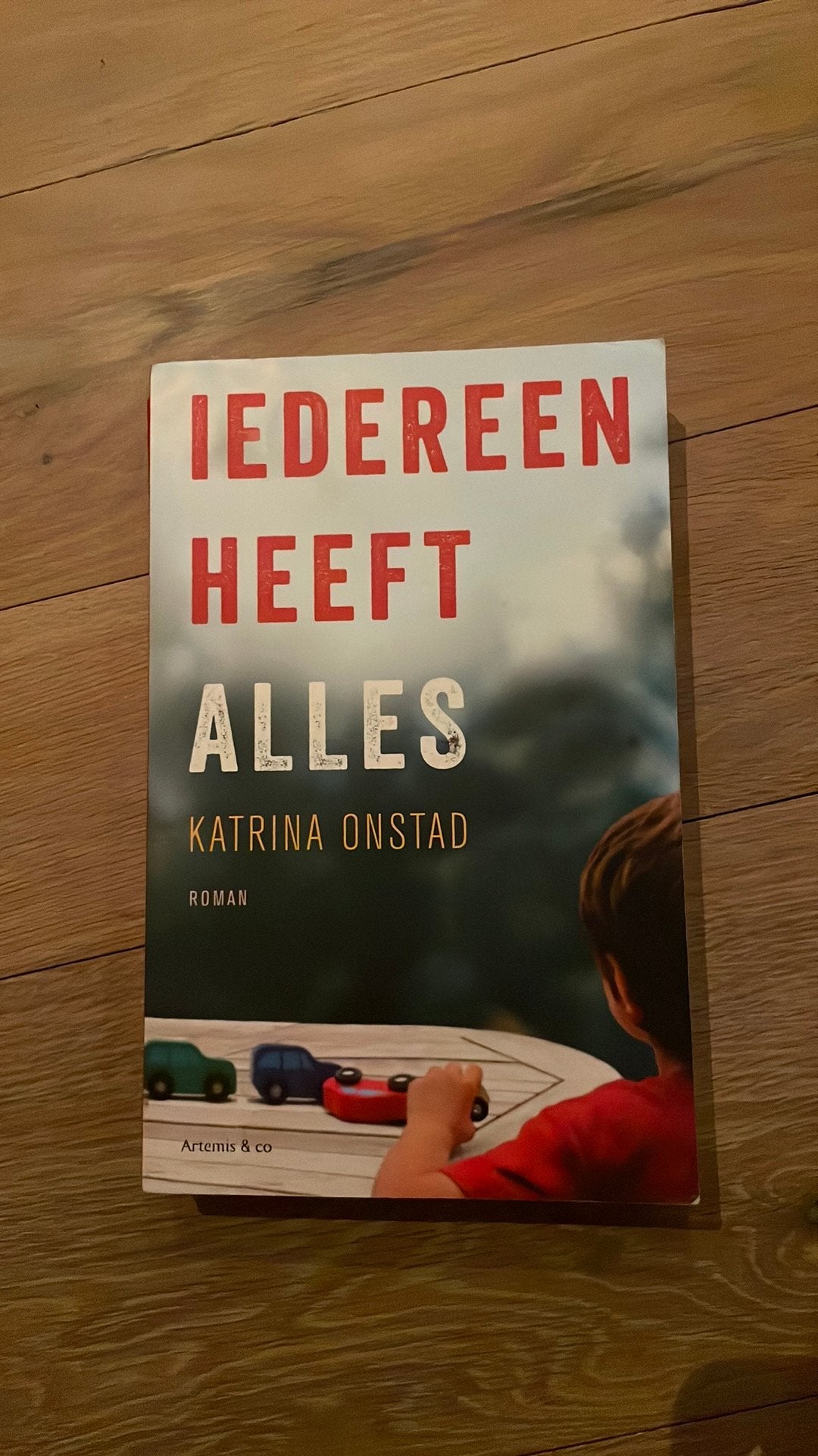Iedereen heeft alles, Ophalen of Verzenden, Zo goed als nieuw