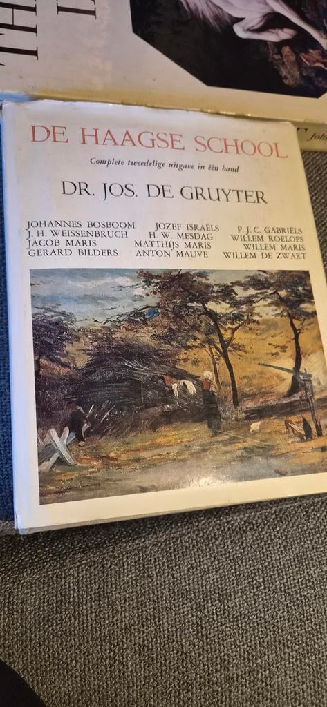 De Haagse School - Dr. Jos. de Gruyter (Kunstboek), Boeken, Ophalen of Verzenden, Gelezen, Schilder- en Tekenkunst, Dr. Jos. de Gruyter