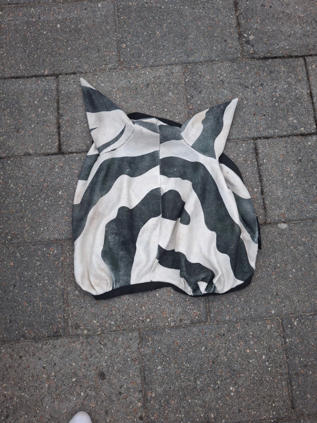bucas vliegenkap Zebra, Ophalen of Verzenden