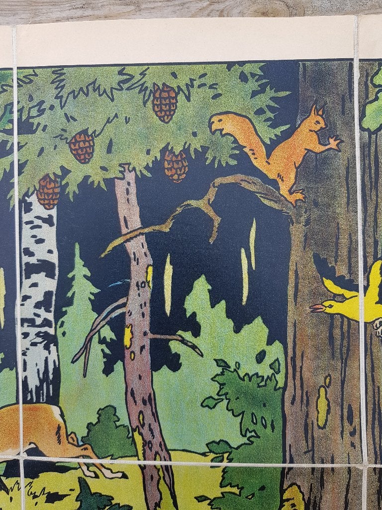 In het bos oude schoolplaat uit Frankrijk litho op canvas., Antiek en Kunst, Origineel, Ophalen of Verzenden, Linosnede
