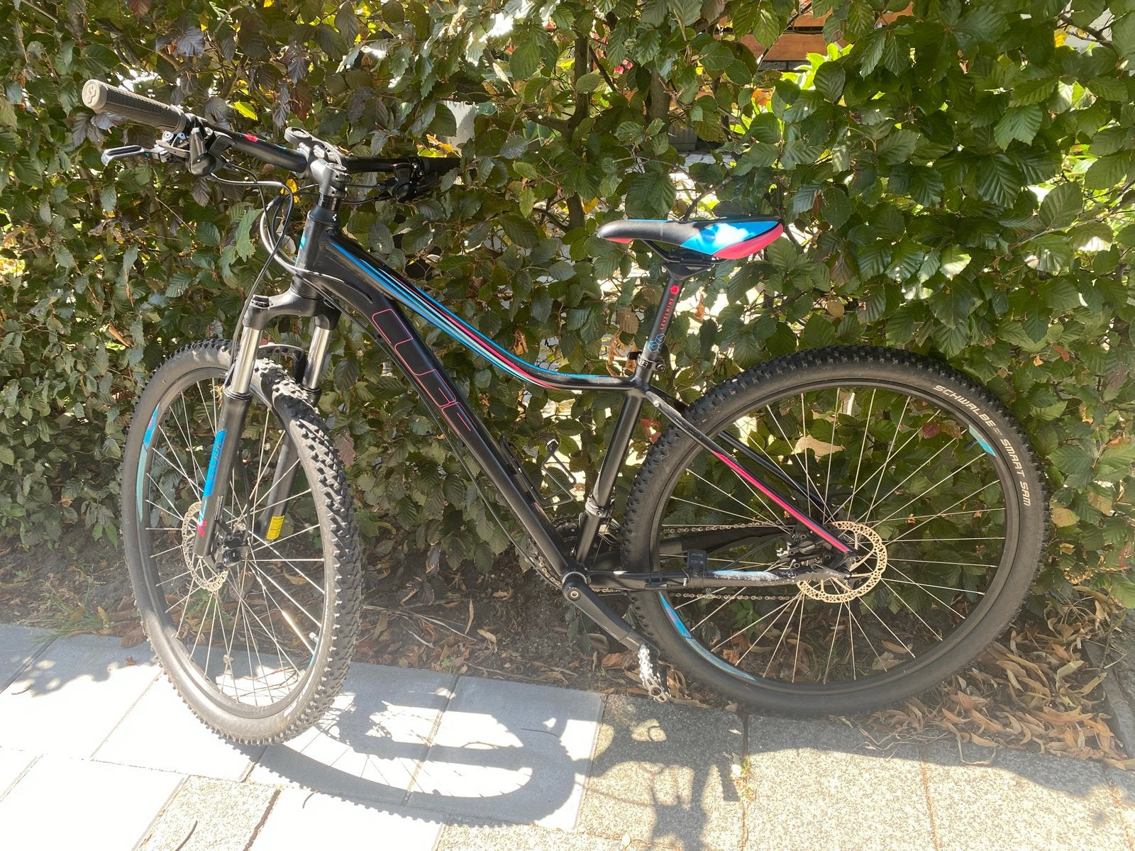 Cube Access WS Race Mountainbike Dames, Fietsen en Brommers, Hardtail, 49 tot 53 cm, Zo goed als nieuw, Dames