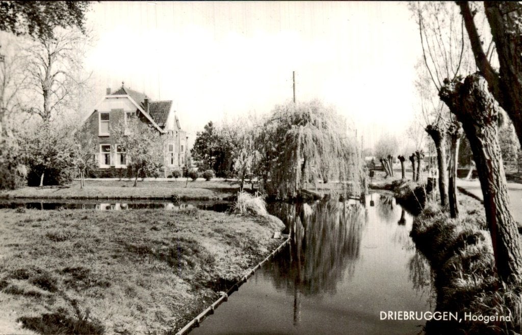 Driebruggen - Dorpsgezicht - Hoogeind, Ophalen of Verzenden, 1940 tot 1960, Ongelopen, Zuid-Holland