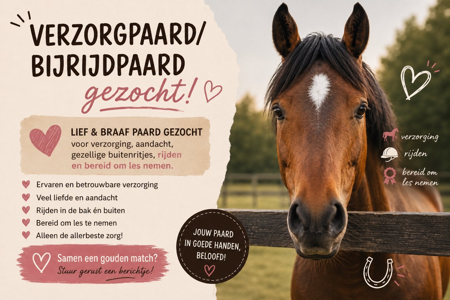 Verzorgpaard/bijrijdpaard gezocht!, Verzorging of Verzorgpony's