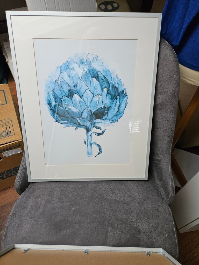 3 Schilderij lijsten met botanische prints (44,5x51,5 cm), Ophalen of Verzenden, Gebruikt, Minder dan 50 cm, Print
