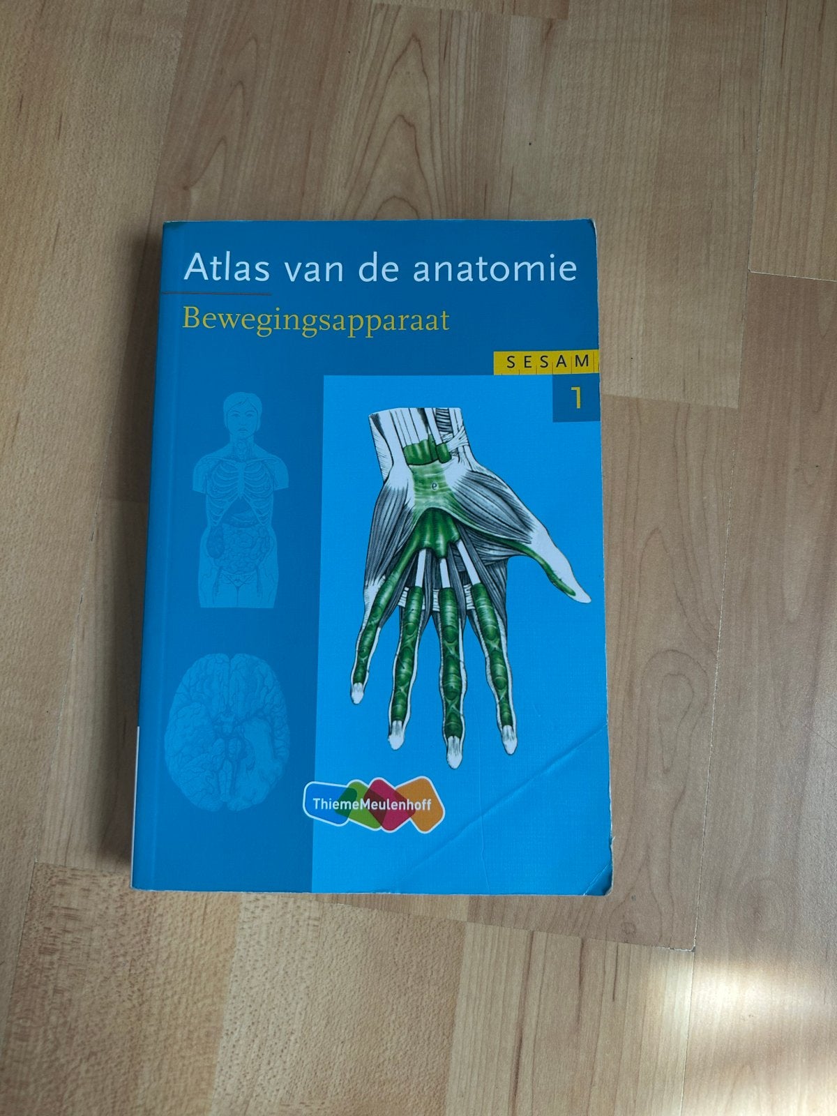 Atlas van de anatomie Bewegingsapparaat - Gymdocent Opleidin, Boeken, Ophalen, Beta, Zo goed als nieuw, HBO