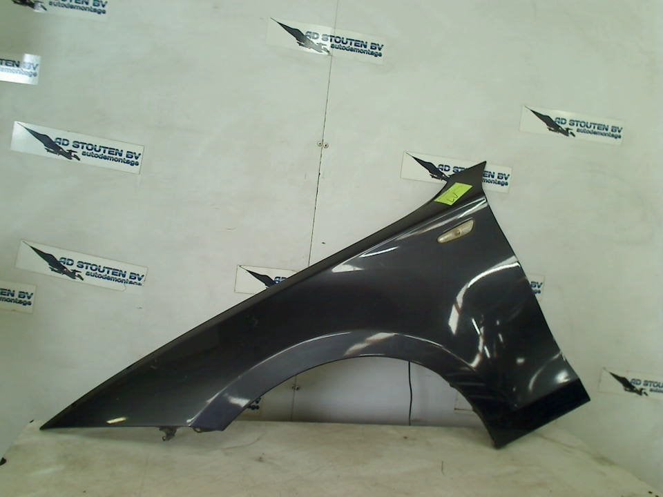 Spatbord Links Voor BMW 1 serie (E87/87N) (2003-11/2012-09), Gebruikt, Petuelring 130, München 80809, , Duitsland, BMW, Bayerische Motoren Werke AG
