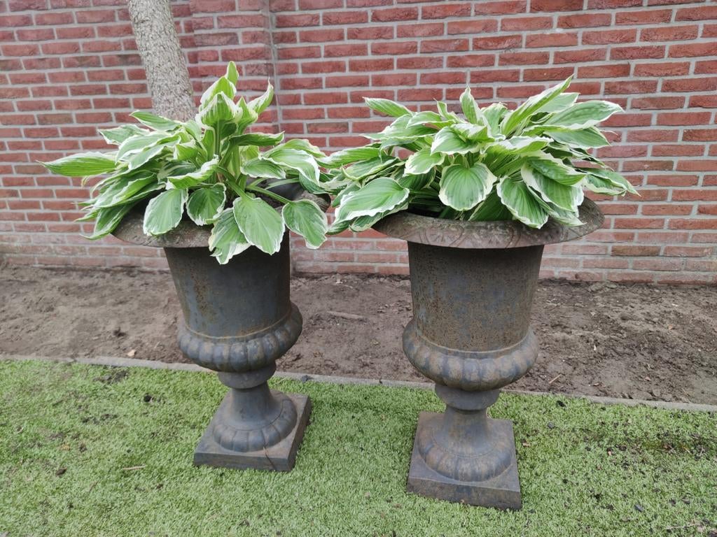 2 Gietijzeren Franse tuinvazen, brocante, 70x48 cm met Hosta, Tuin en Terras, Tuinvazen, Ophalen, Gebruikt
